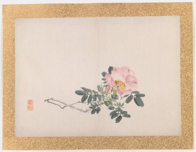 Untitled (Pink Rose) by Nishiyama Hoen